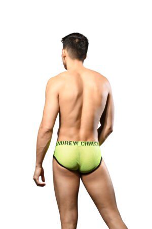 Vivid Mesh Brief