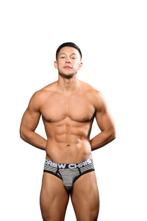 Fly Stripe Brief w/ ALMOST NAKED® andrew christian