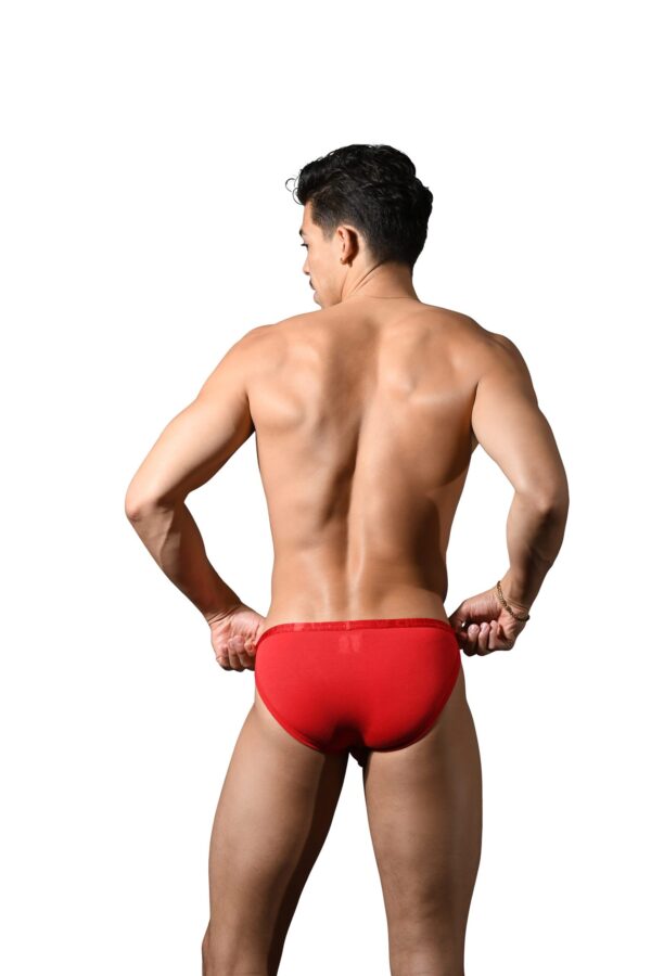 Andrew Christian trusa lust - Imagen 2