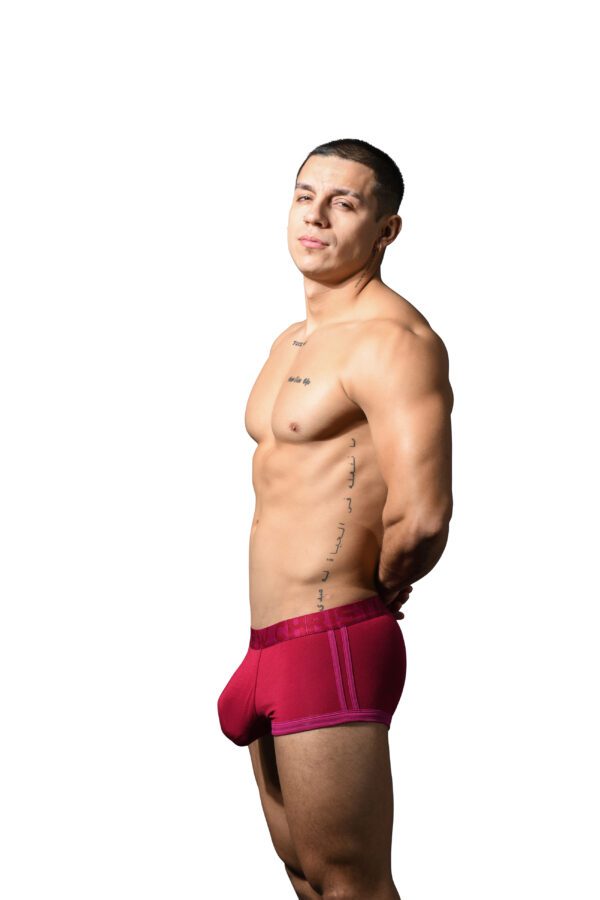 Andrew Christian bóxer modal coolflex con bolsita - Imagen 3