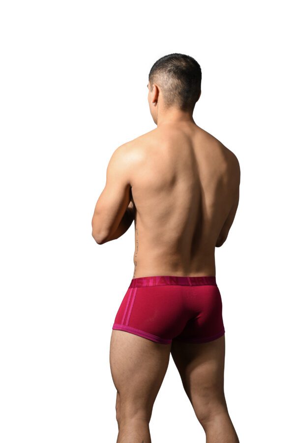 Andrew Christian bóxer modal coolflex con bolsita - Imagen 4