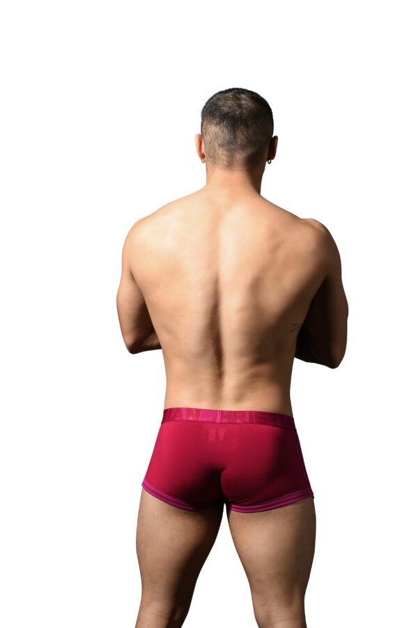Andrew Christian bóxer modal coolflex con bolsita - Imagen 5